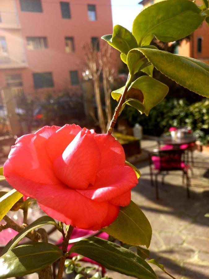 Hotel Arcoveggio Bolonya Dış mekan fotoğraf